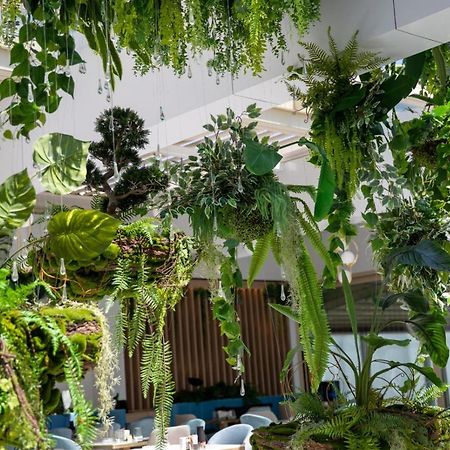 Reyna Apart Hotel Konstanca Zewnętrze zdjęcie